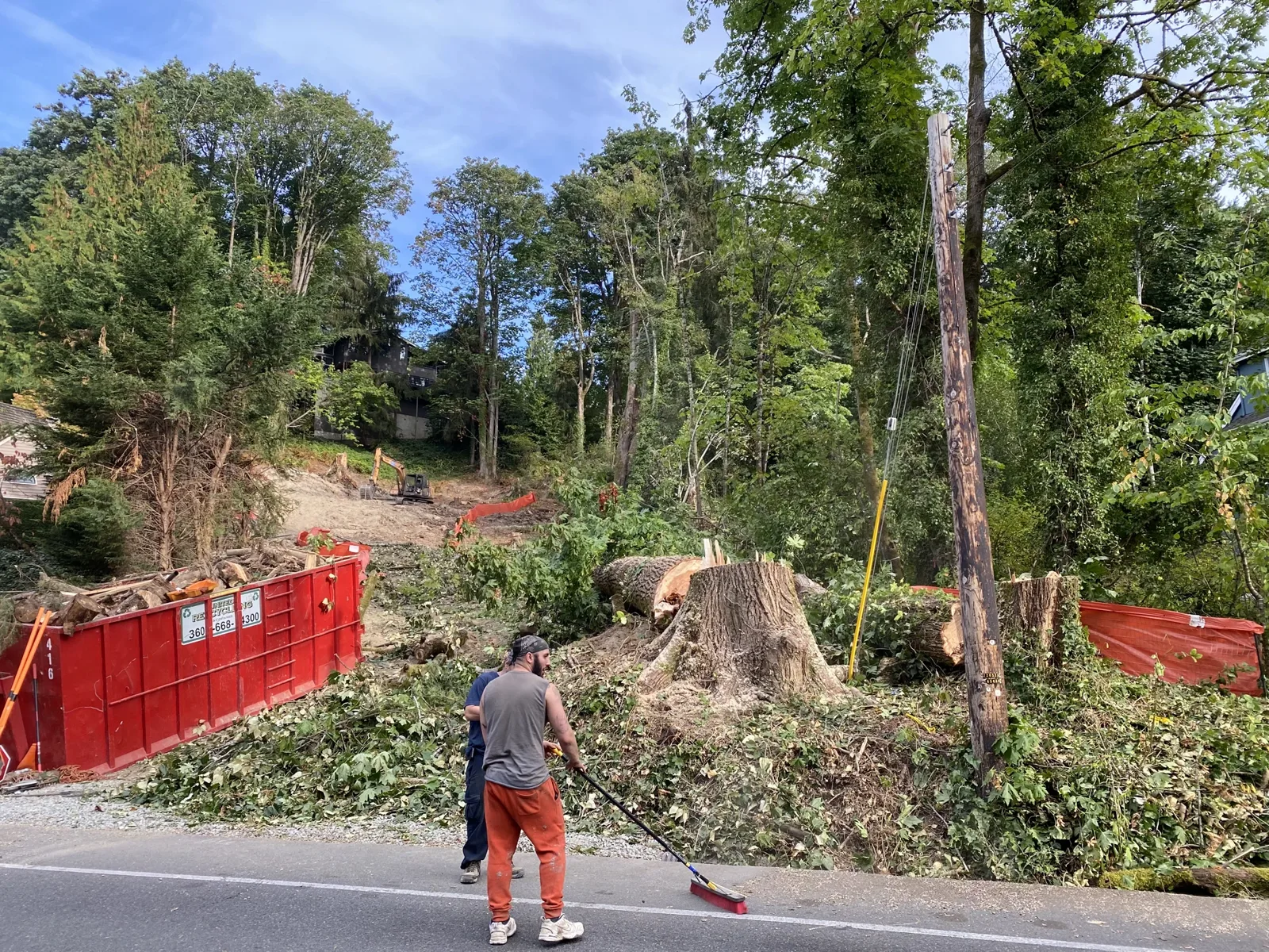 Mercer Island Clearing photo 1 of 16