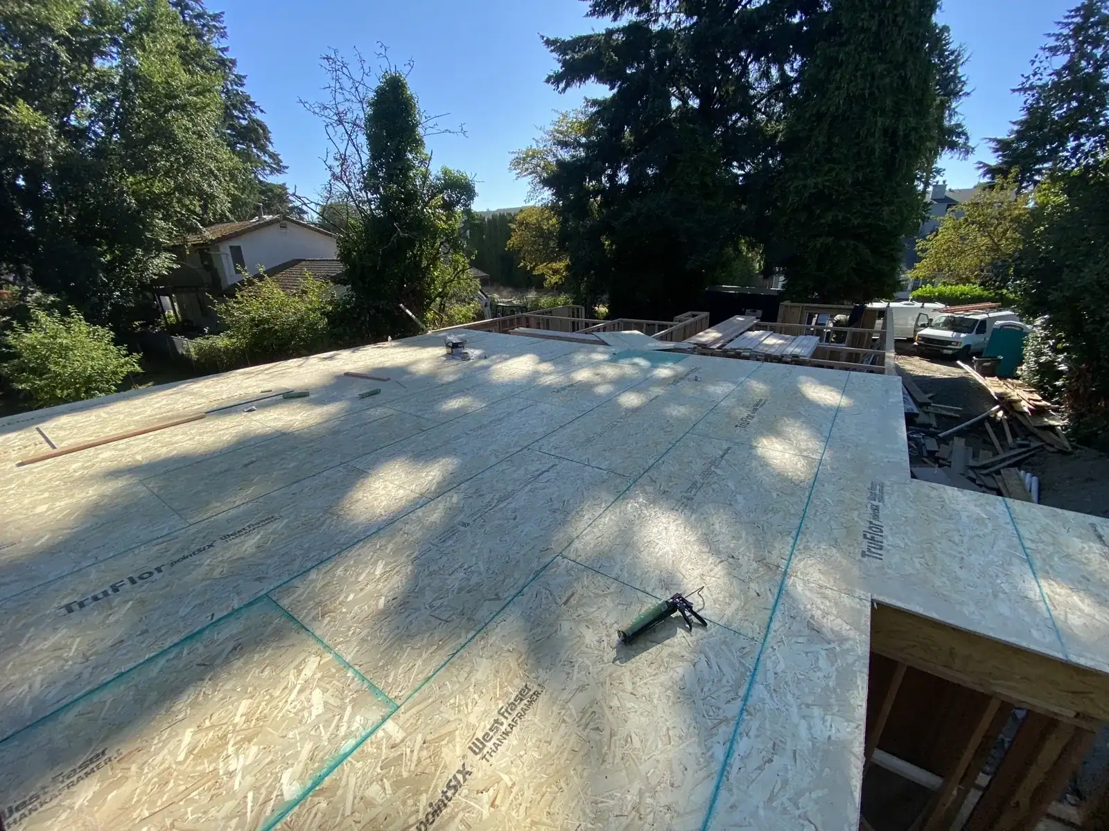 Wide view of the sheathed subfloor and surrounding trees