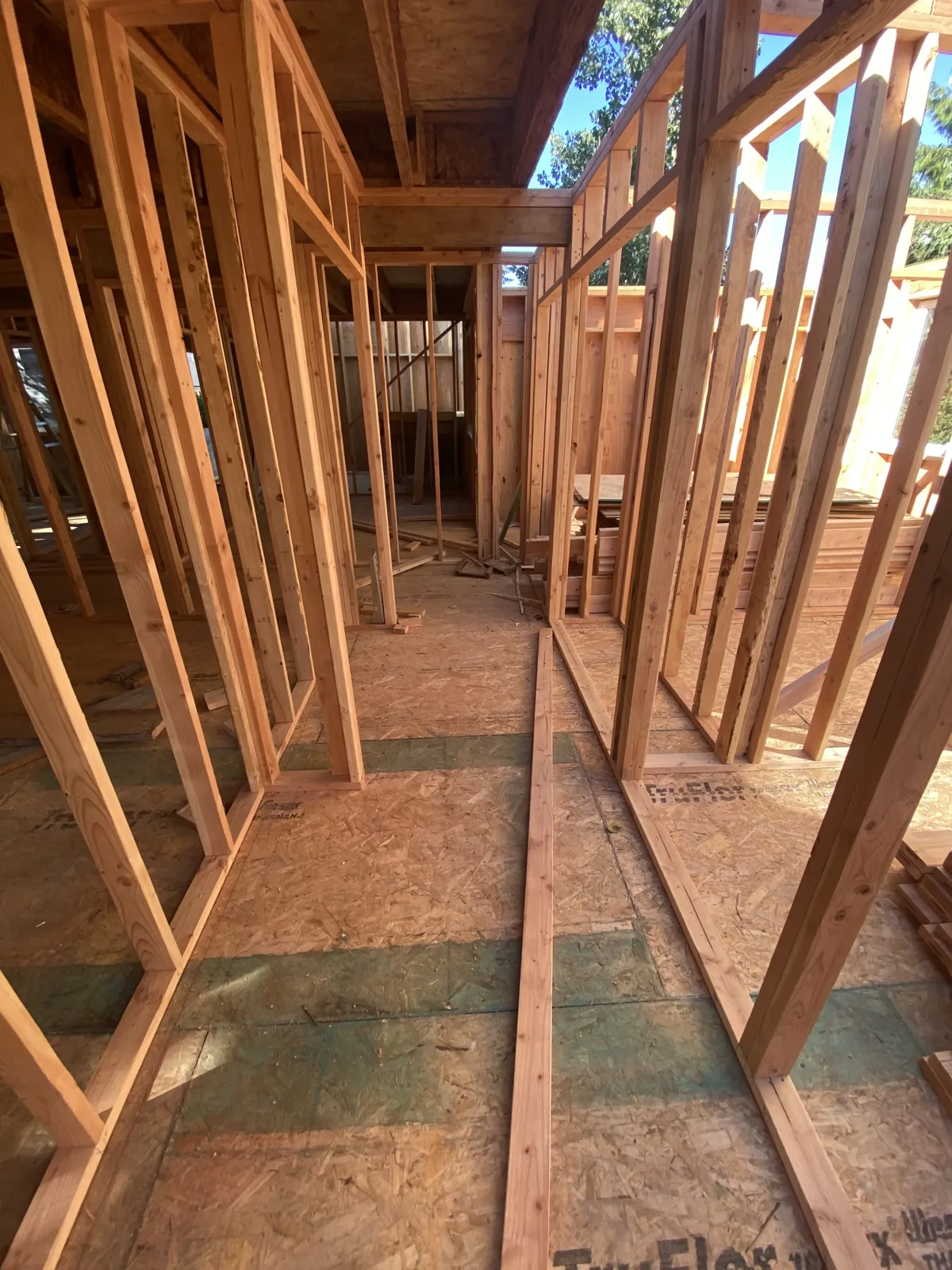 Interior stud framing on the main floor