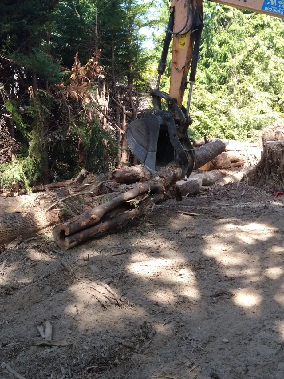 Excavator bucket lifting logs and stumps out of the cleared hillside