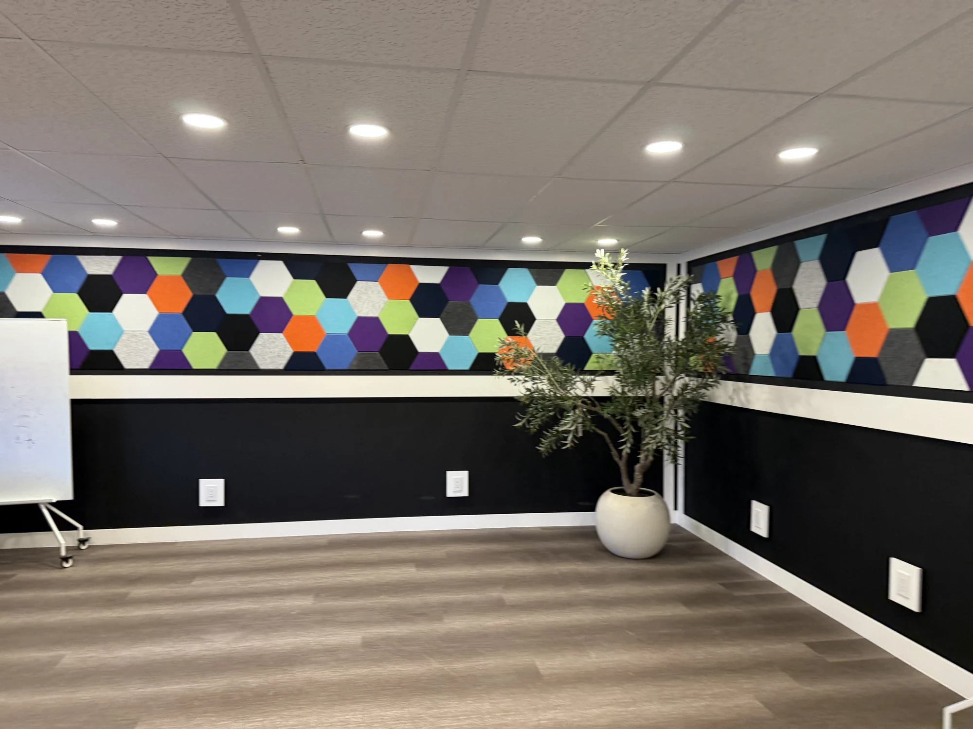 Hexagon acoustic accent wall over black lower walls with a potted plant on LVP flooring