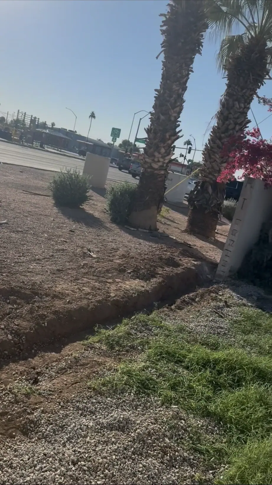Footing trench along the property line beside mature palms in Mesa, Arizona