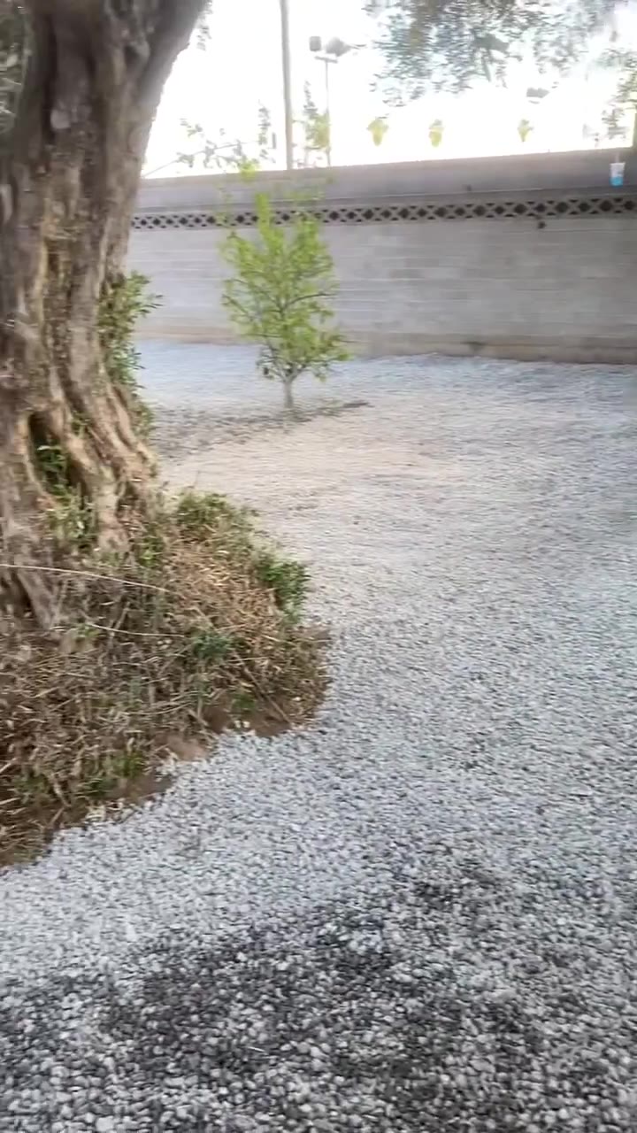 Mesa Hardscape 3d flythrough video still — Hardscape / Landscape in Mesa, AZ