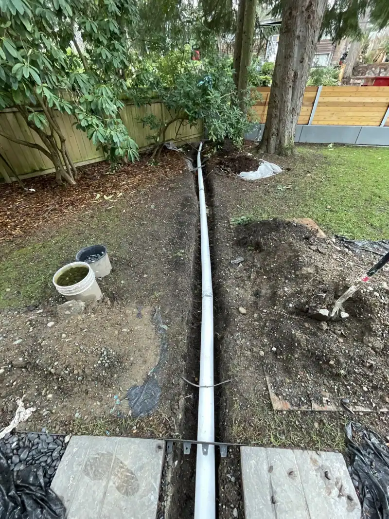 Trench with PVC drain line running through the yard beside a mature tree