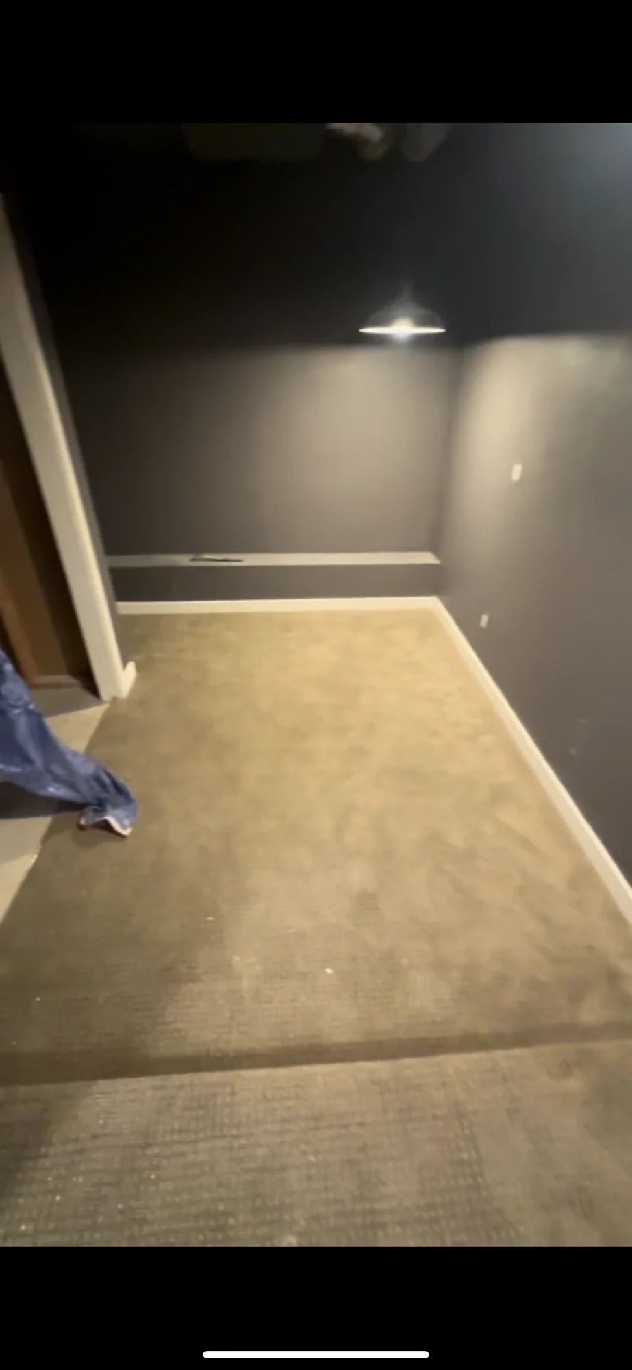 Finished theater room with dark walls, white base trim, and plush carpet
