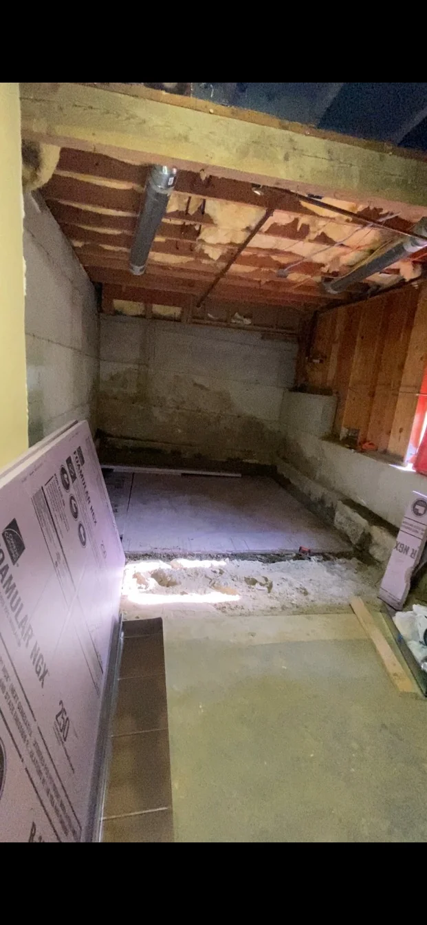 Gutted basement room with exposed studs and old insulation removed