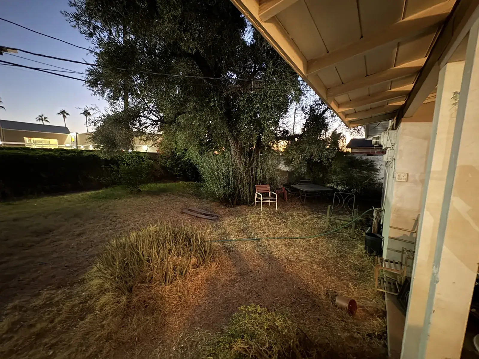 Before: overgrown backyard with dead grass and the old patio